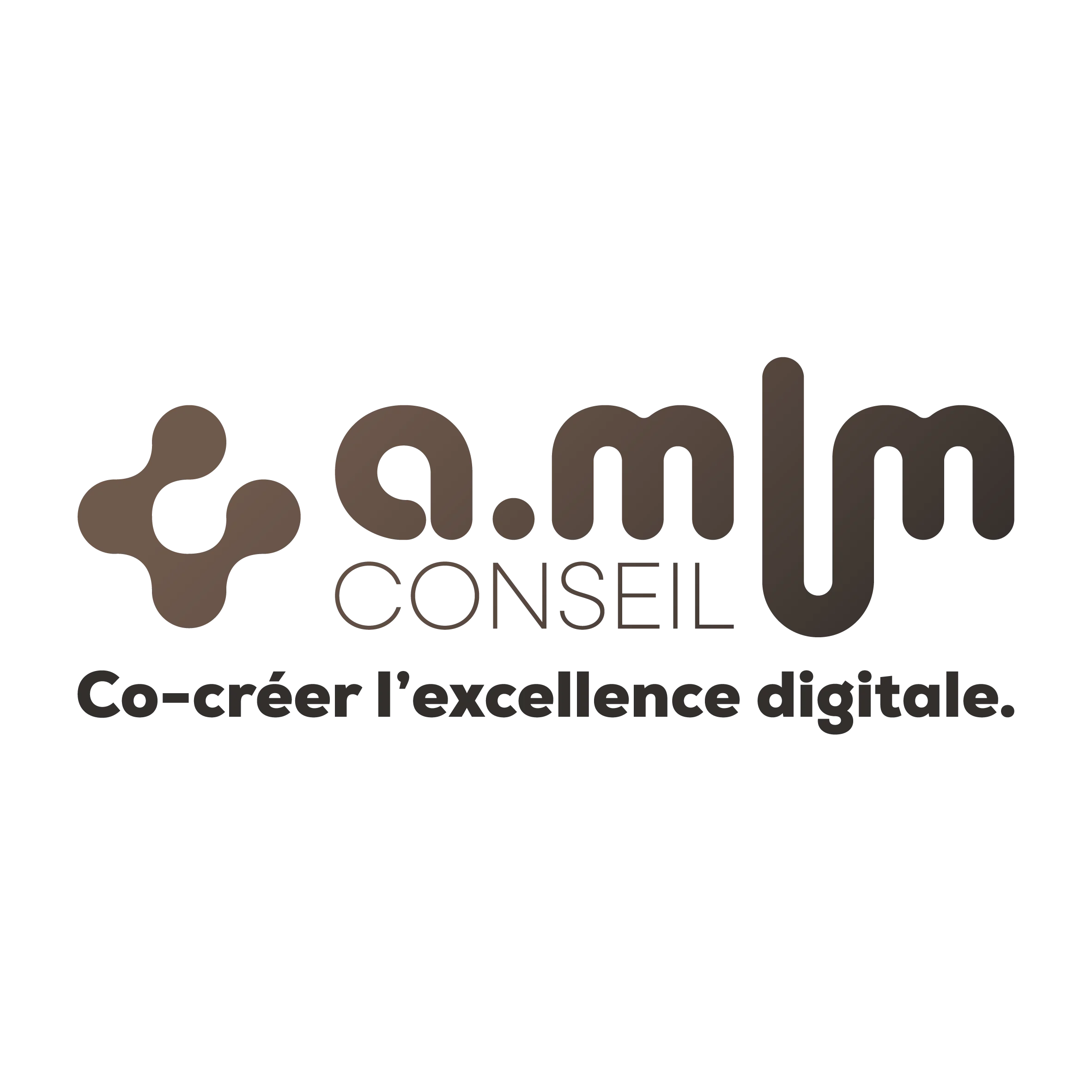 AMLM Conseil